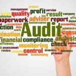 Top Audit Selection Reasons