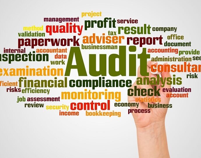 Top Audit Selection Reasons
