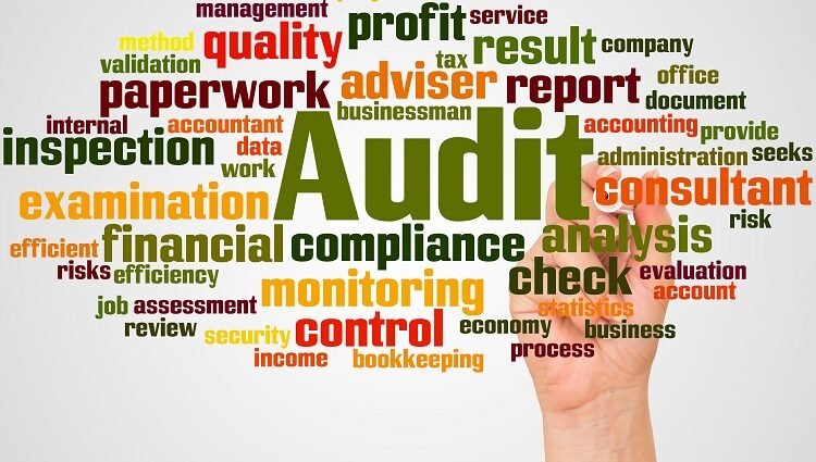 Top Audit Selection Reasons