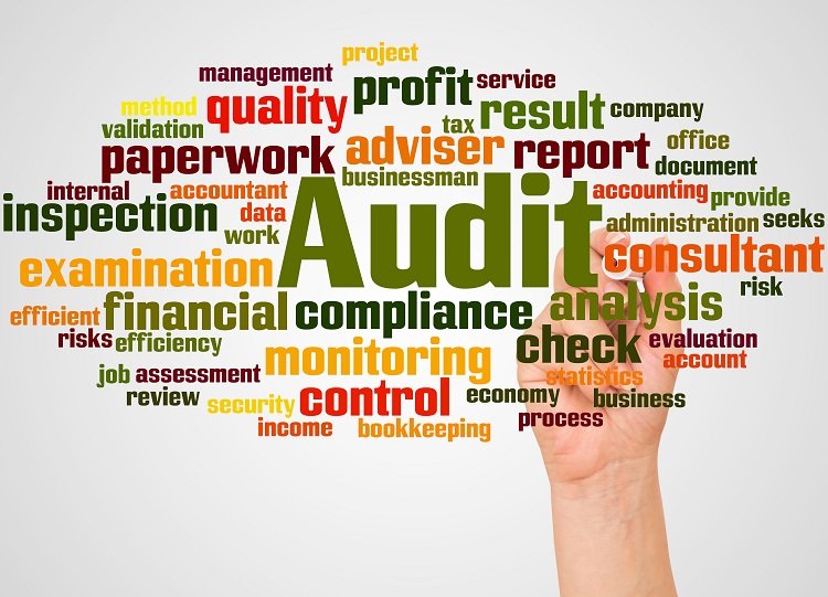 Top Audit Selection Reasons